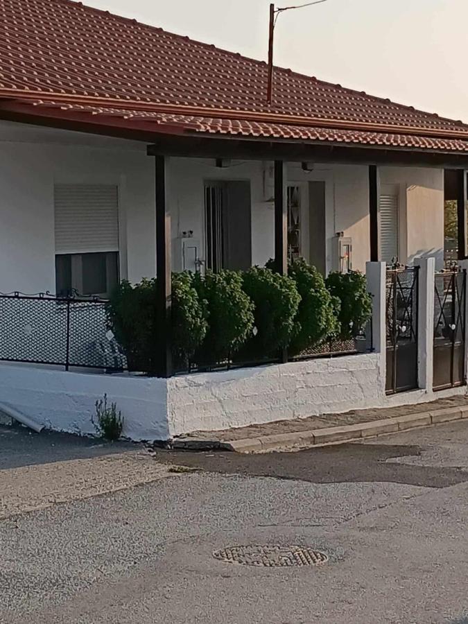 Efesos spacious home - B&B
