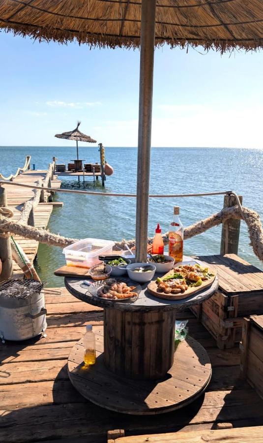 maison plage kerkennah - B&B