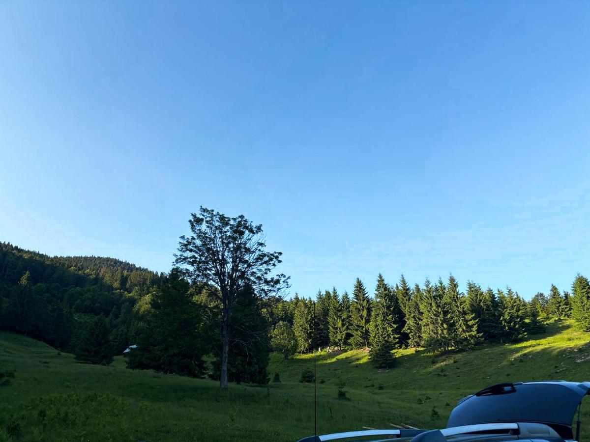 Cuibul lui Răzvan - Domeniul Barabuc Colibița - B&B