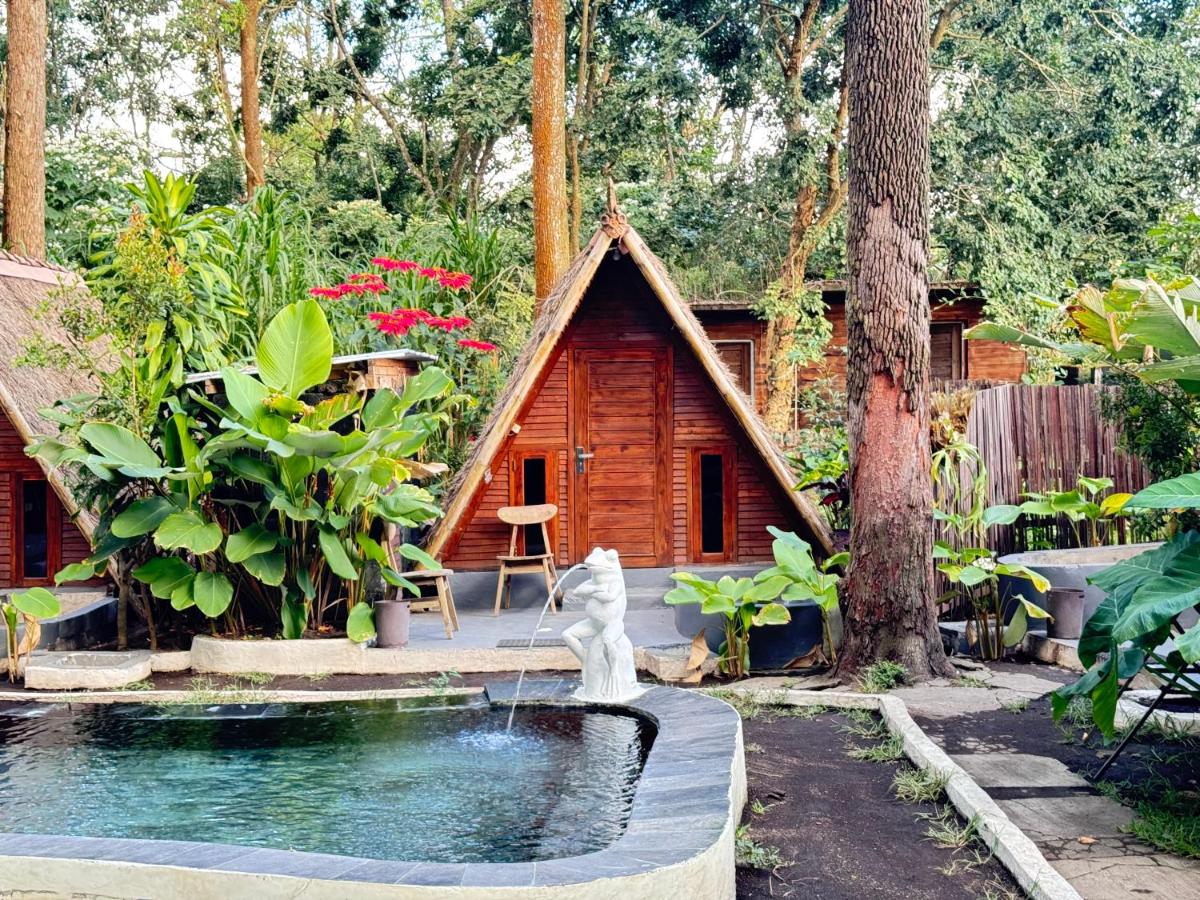 Triangle House and hot spring - Chambres d’hôtes Kintamani