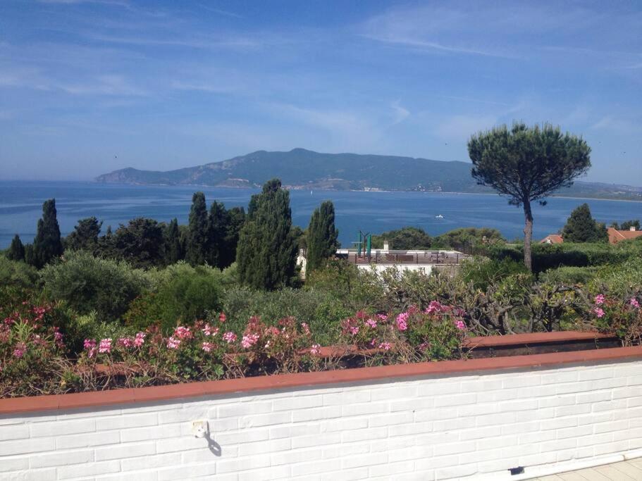 Villa Twins Ansedonia - B&B Ansedonia