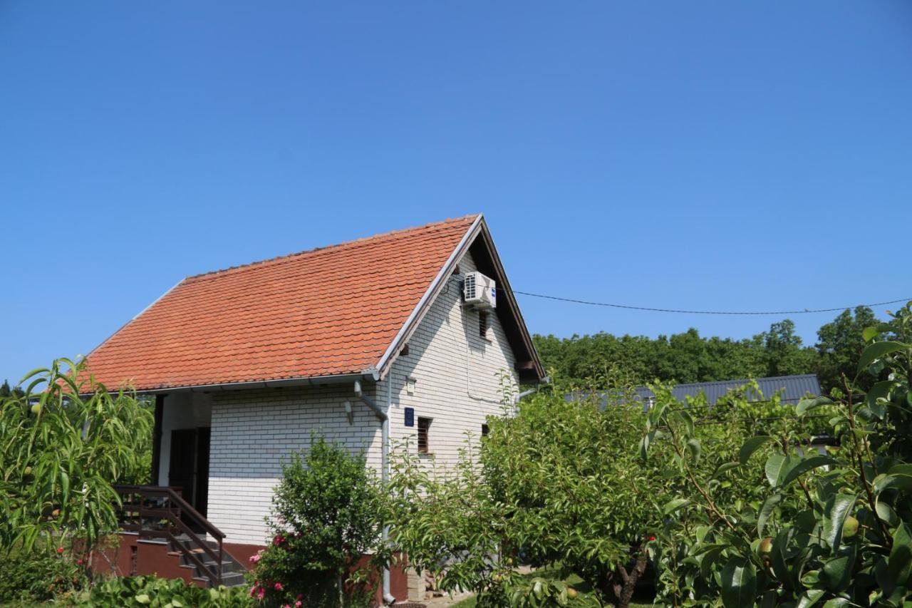 Oaza mira Kris - B&B Križevci