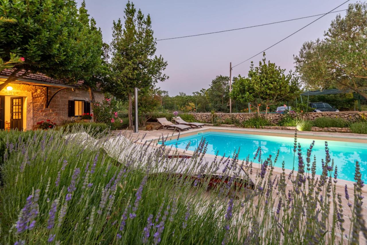 Villa Krasa ZadarVillas - Bed and Breakfast