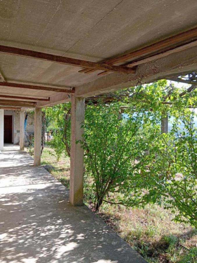 Rustic house Hutovo Blato - Ferienwohnung Čapljina