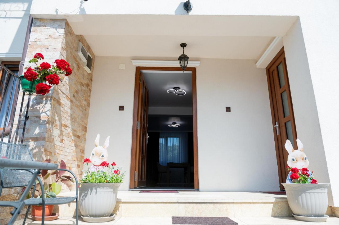 Cozy House - B&B Piatra Neamţ
