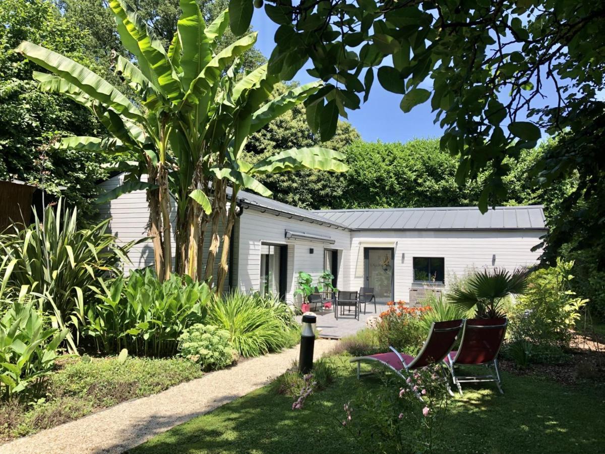 L'ApothéOse, gîte bien-être avec jacuzzi, sauna, hammam - B&B
