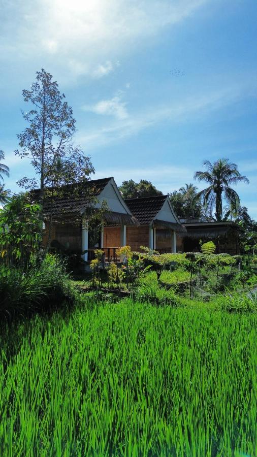 PANORAMA BUNGALOWs - B&B Tetebatu