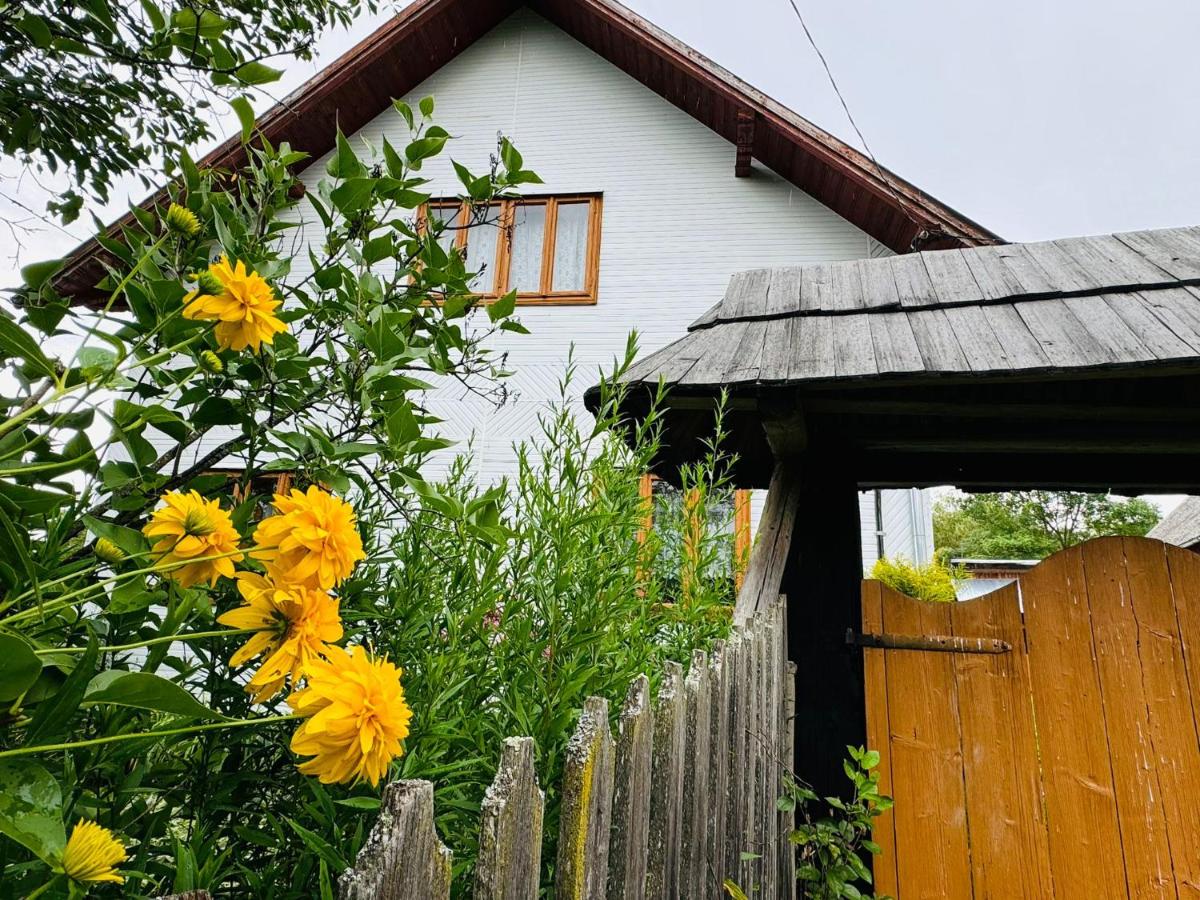 Casa dintre coline - B&B