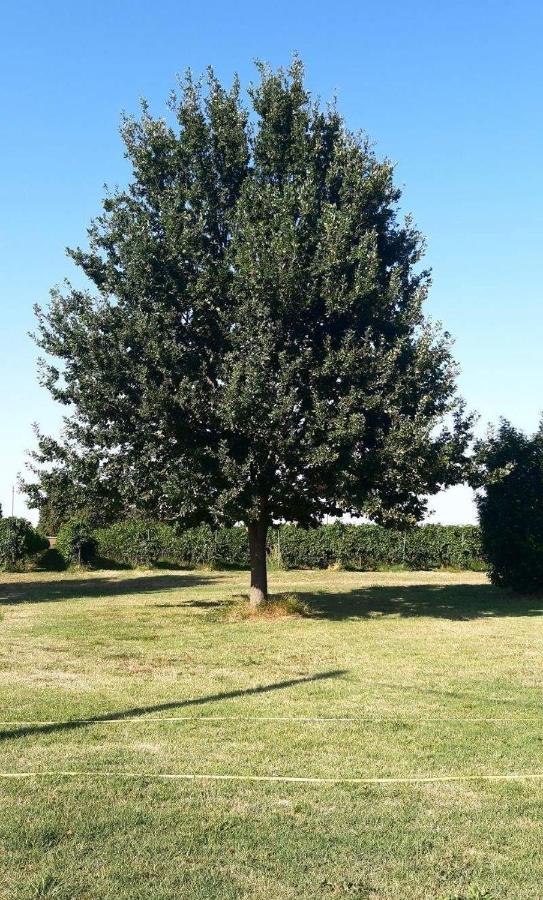 Appartamento in campagna vicino autostrada Campogalliano - Carpi - B&B
