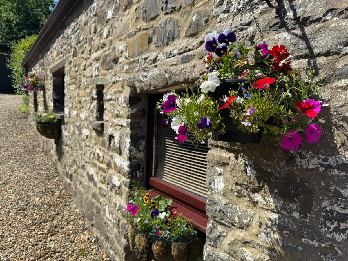Nanternis Farm - B&B