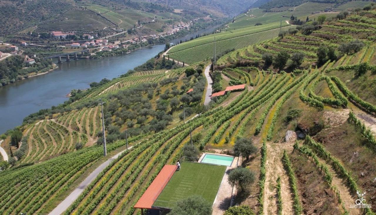 Quinta da Coitada - Alojamento Local - B&B