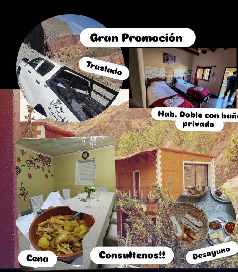 POSADITA LOS ALAMOS Alojamiento de montaña estamos en San Isidro a 8km pasando Iruya lea atentamente la descripción - B&B