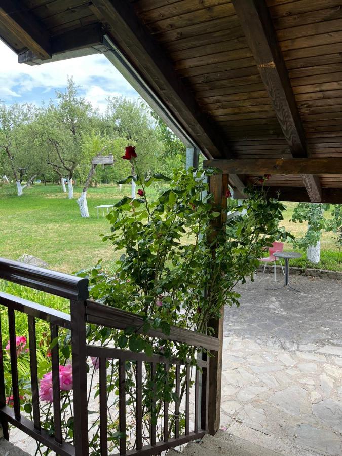 Vikendica Kosta - B&B