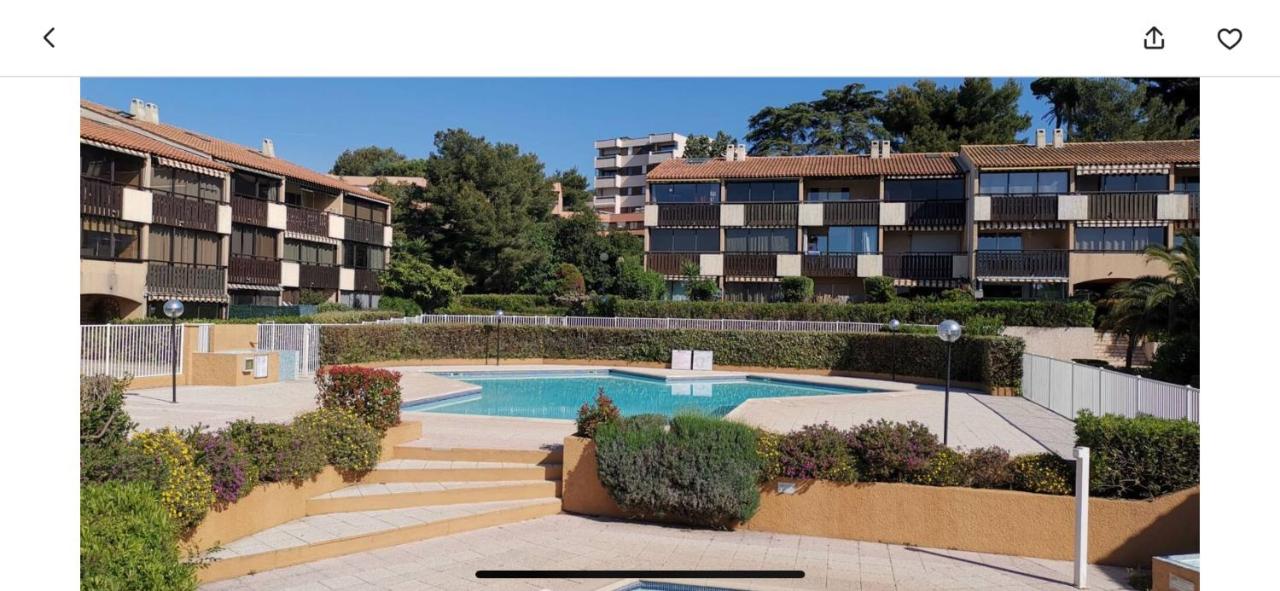 Tamaris les jardins alizarines - B&B La Seyne-sur-Mer