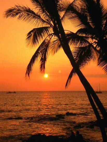 Apartamento El Atardecer - B&B