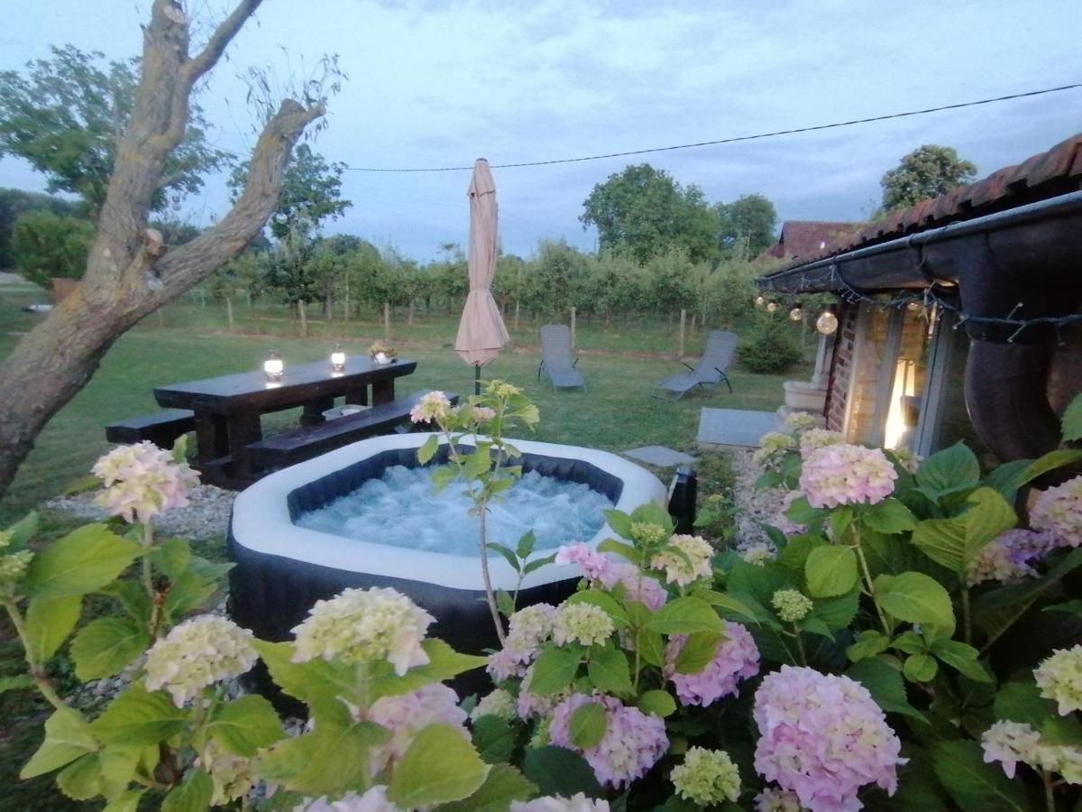 Kuća za odmor DRAVA LIFE - B&B