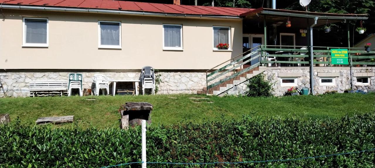 Chata pod lesom - B&B