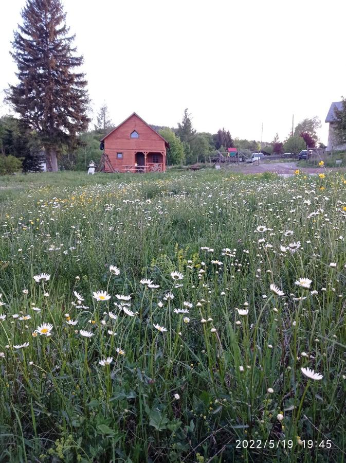 Domek nad Potokiem - Ferienwohnung Szczytna