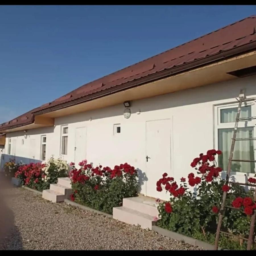 Guest House Summer - Ferienwohnung Cholpon-Ata