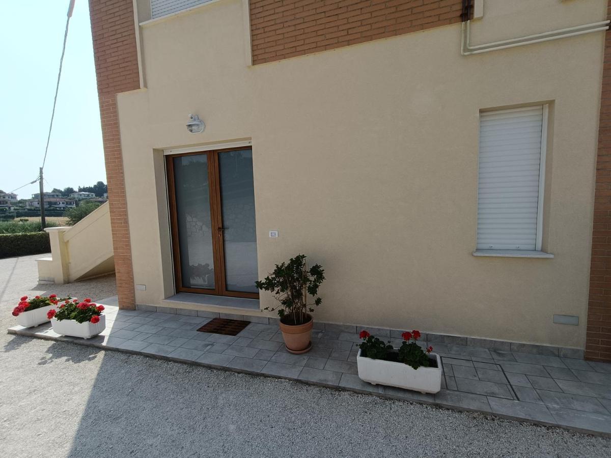 Casa Degli Ulivi - Camera - B&B Numana