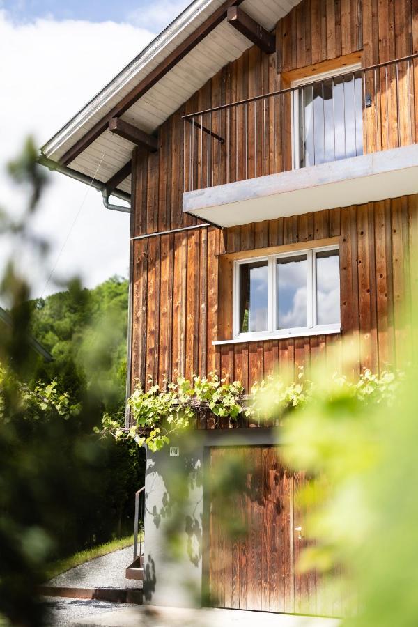 Sonnenschein Chalet Egg - Ferienwohnung Egg