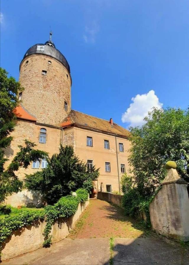 Schloss Ruhethal - Ferienwohnung Mügeln