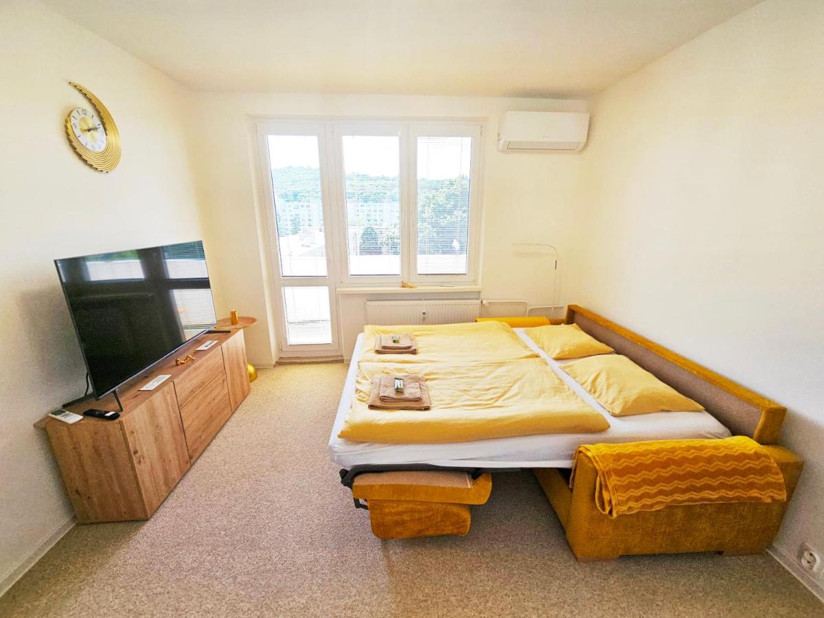 Appartamento con 1 Camera da Letto