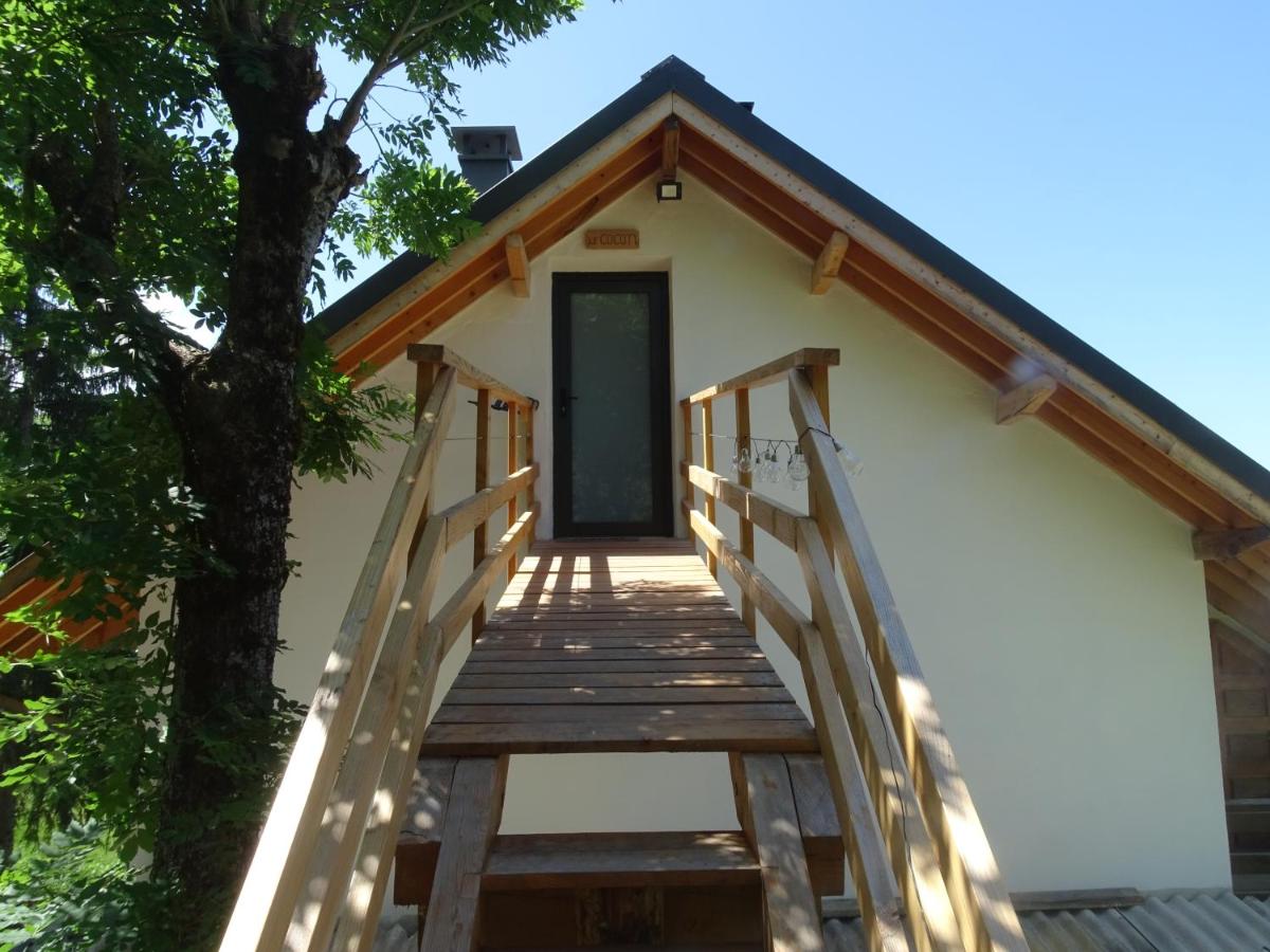 Le cocon de St Sauveur - B&B Saint-Sauveur