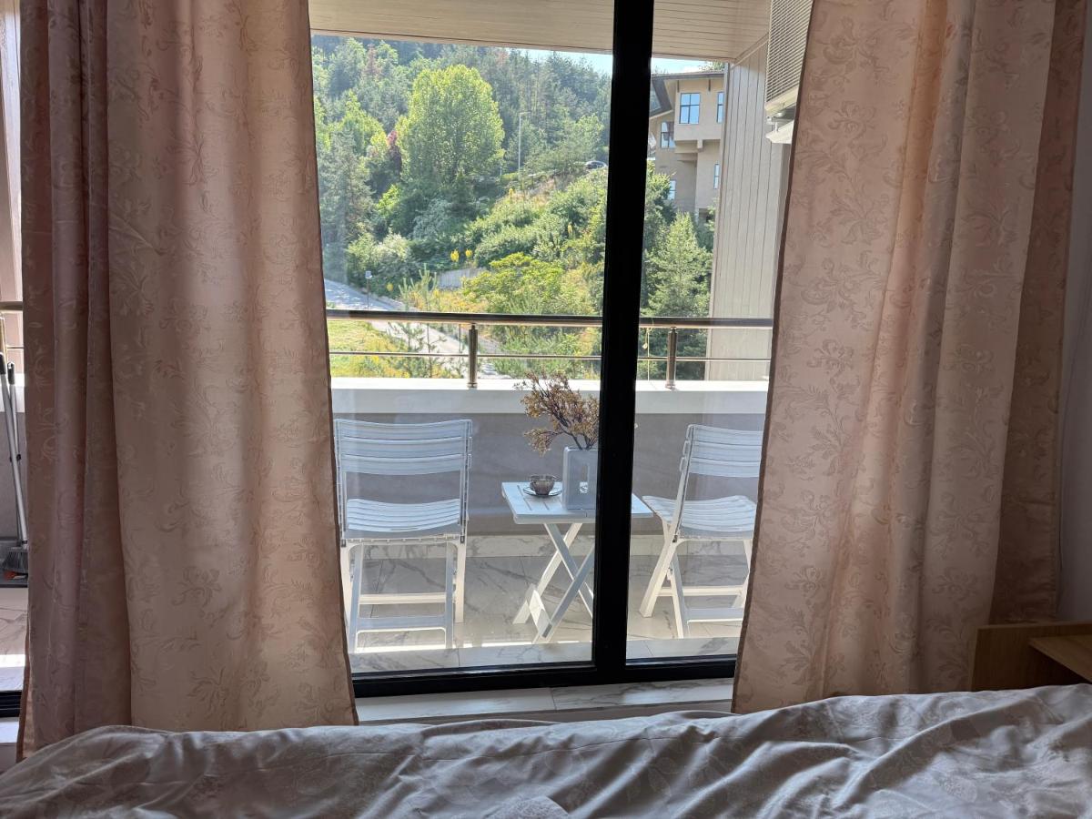 Deluxe Apartment mit 1 Schlafzimmer