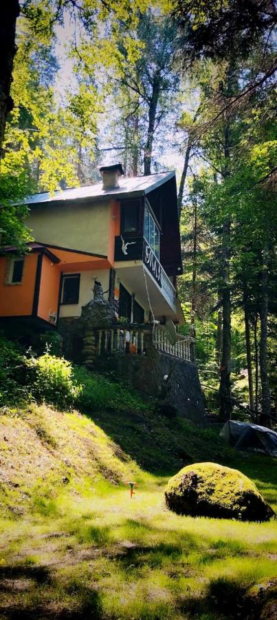 Villa Byala Luna - Guest House - B&B Bistritsa