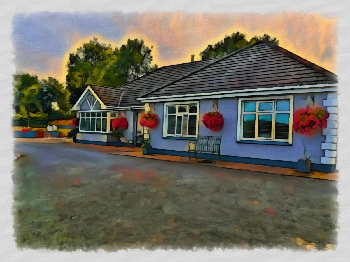 Grangebeg B&B Dunlavin - B&B