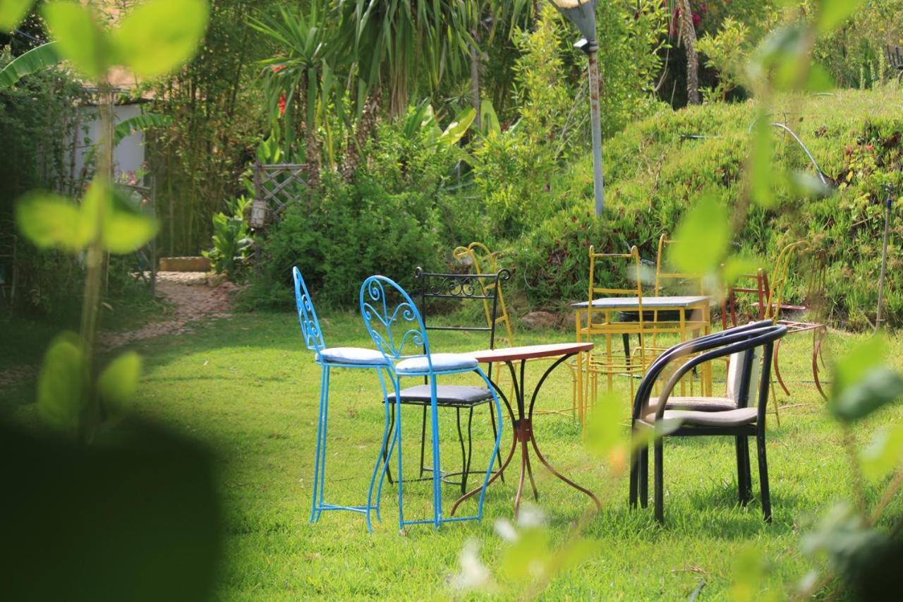 Peacock farm on the lake - Bed and Breakfast Douar Oulad Jaber