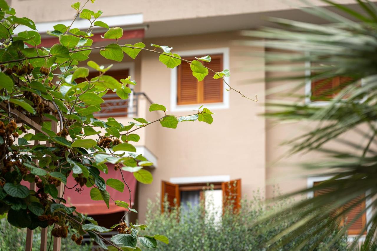 Maslina Residence - B&B