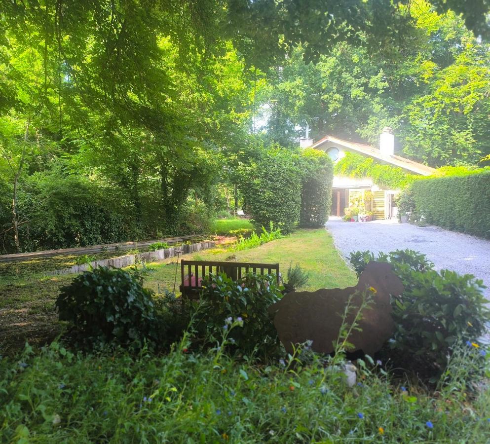Studio autonome magnifique TB situé Chaumont-Gistoux - B&B