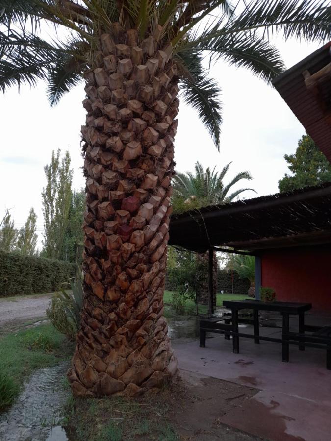 Cabañas Nono Mario - B&B San Rafael
