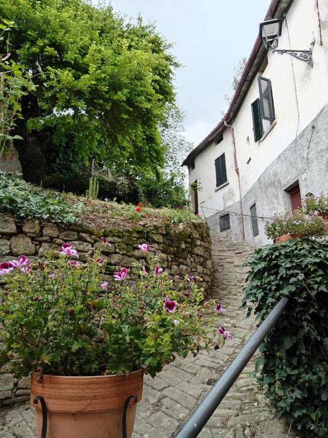 IL BORGHETTO Room&Breakfast - B&B Rocca San Casciano