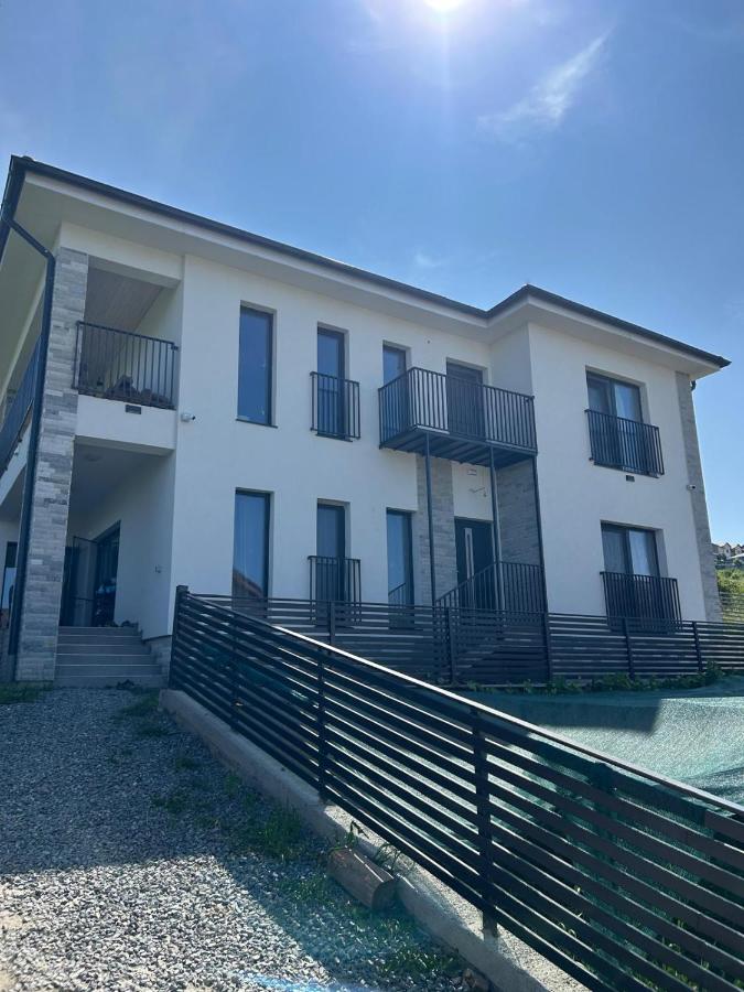 Casa Miron - Chambres d’hôtes Dezmir