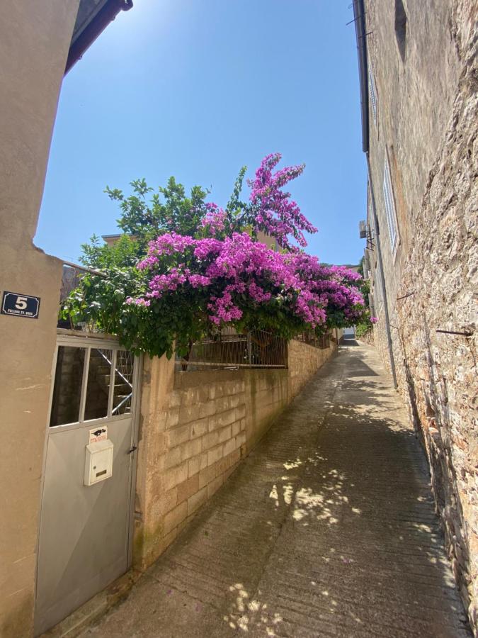 Apartment Rocky - B&B Vis
