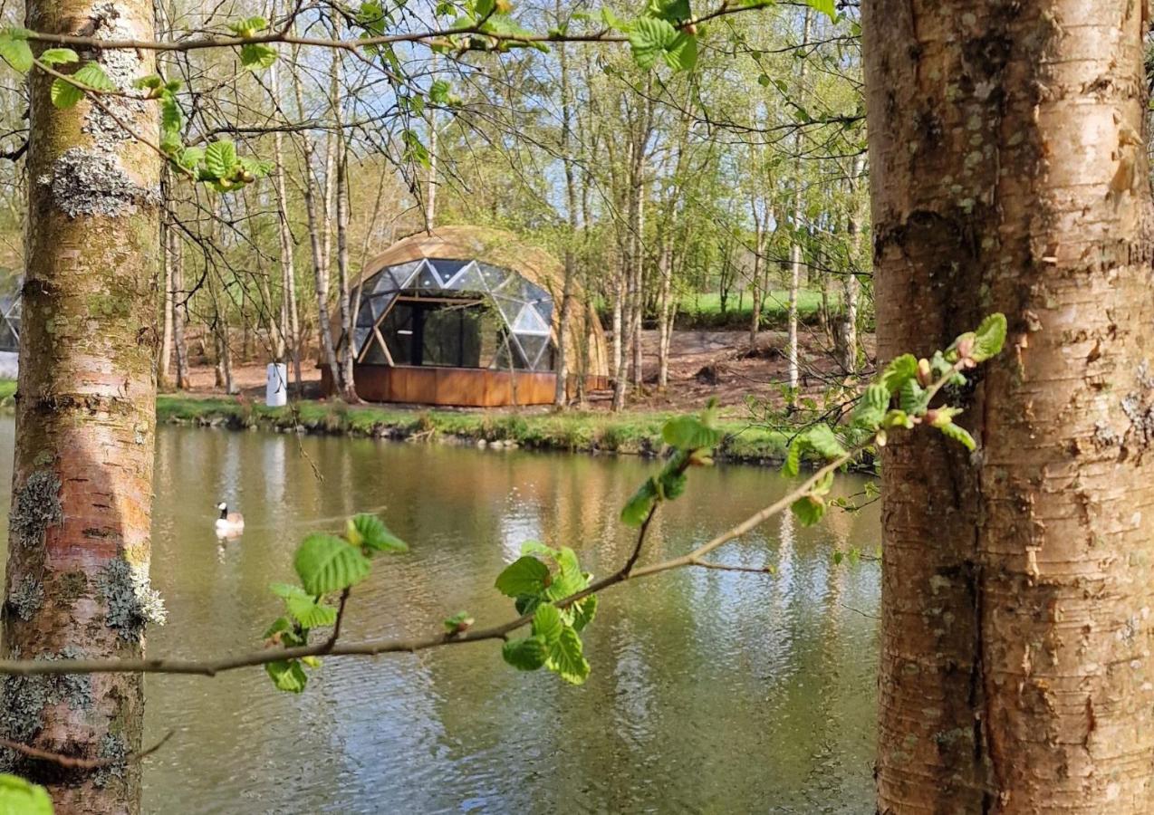 Dôme géodésique exceptionnel en pleine nature - B&B