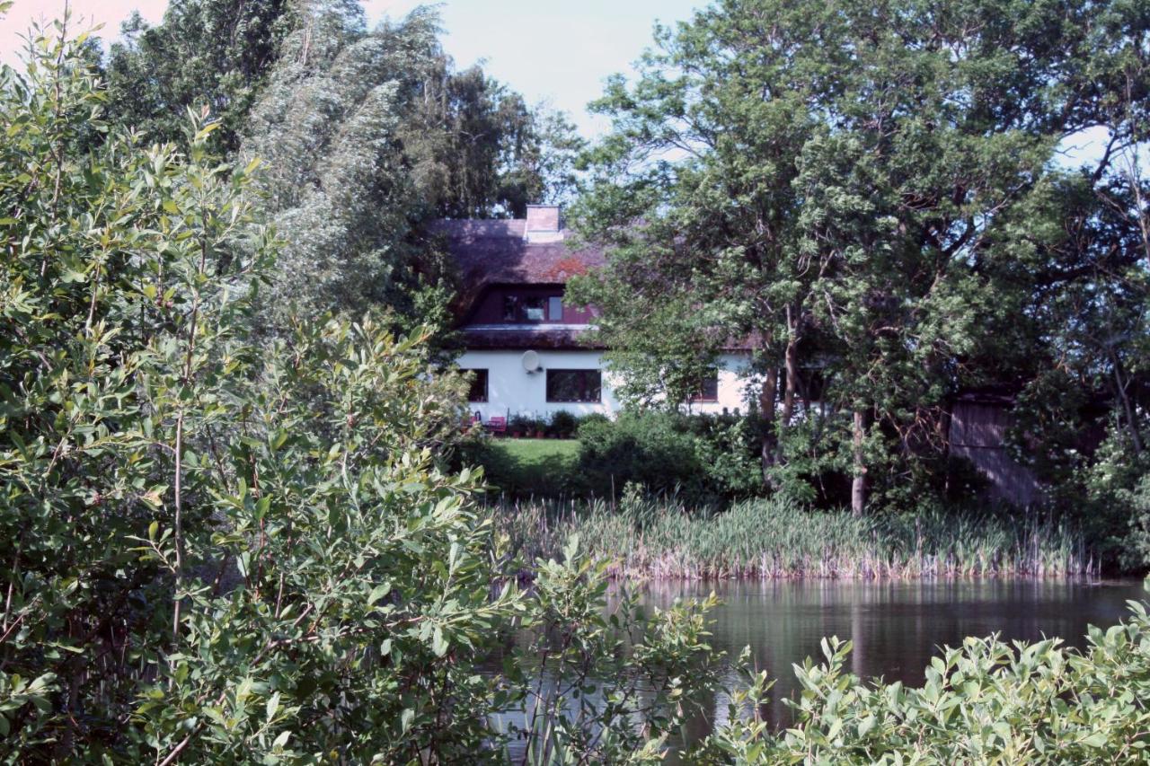 Rügen FeWo-Lohme auf Jasmund - B&B
