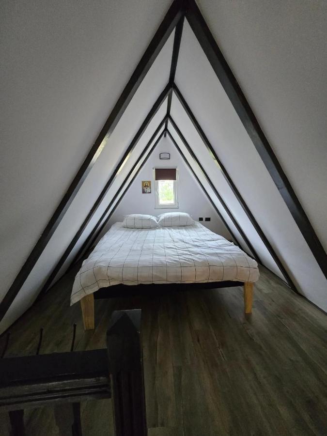 Casa Elisabeta - B&B Vâlcele