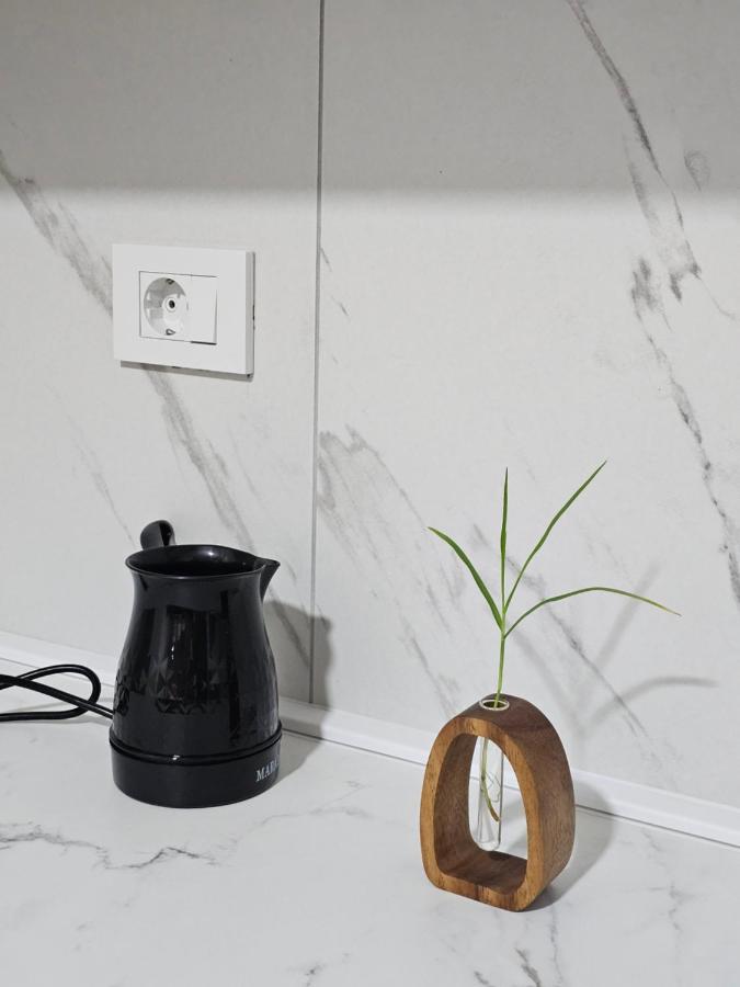 ST Central Home - Chambres d’hôtes Skopje