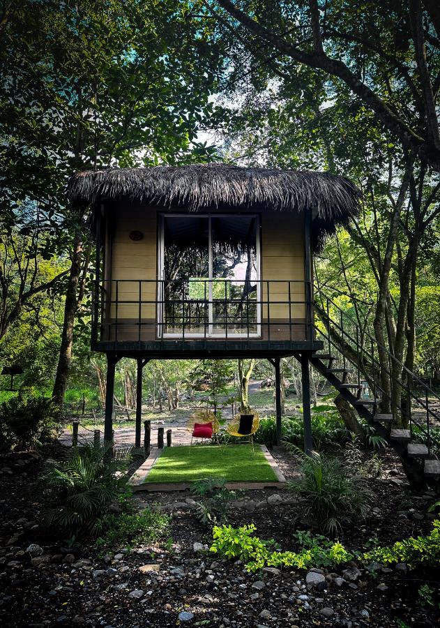 ECOCAMPING JACAMAR - B&B