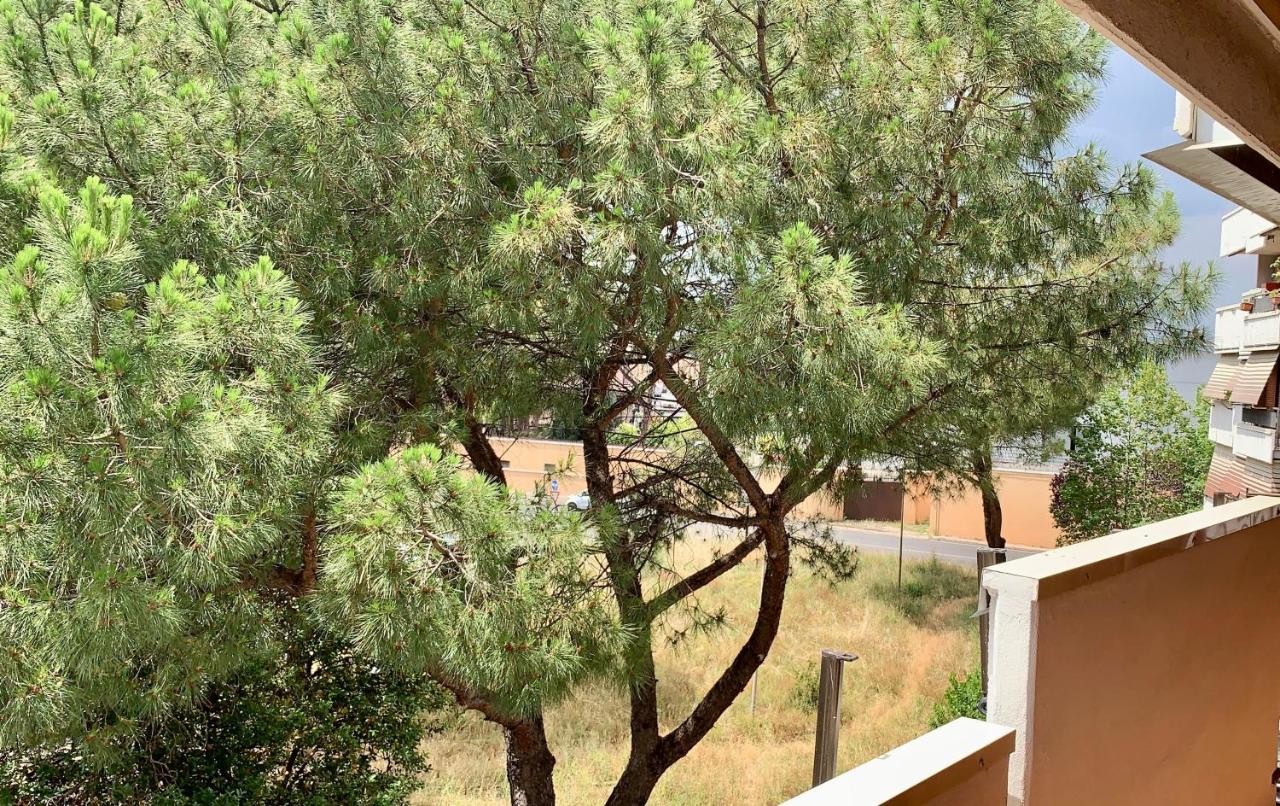 La vie en Rome - Cinecittà - B&B Roma