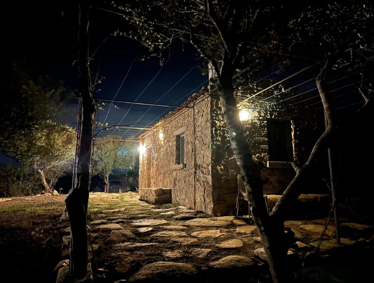 L'isola che non c'è NG Collection - B&B Olbia