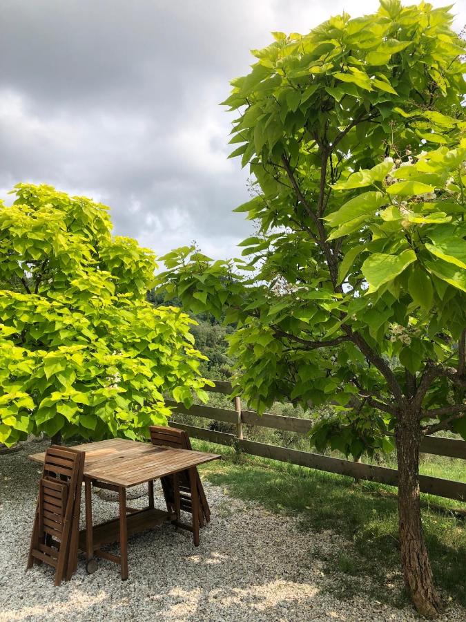 Saint Roch - camera privata con bagno - vista su giardino - colazione - B&B Ponzano Superiore
