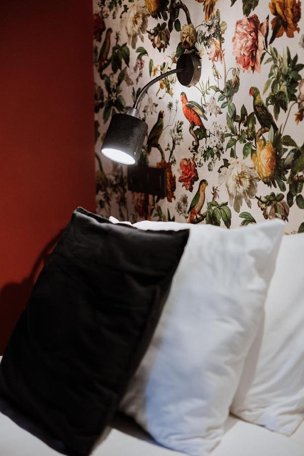 Estudio con cama extragrande