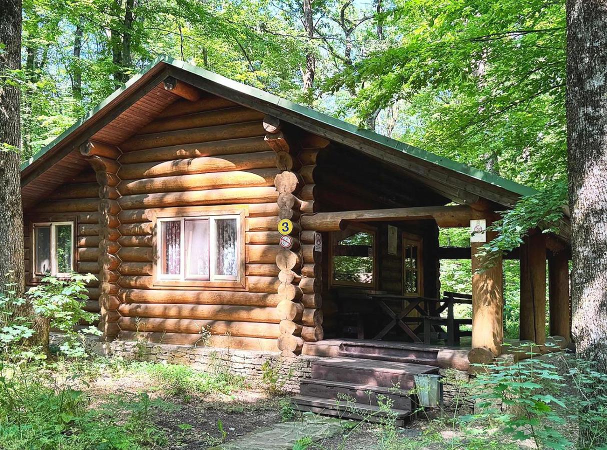 Familiekamer met Terras