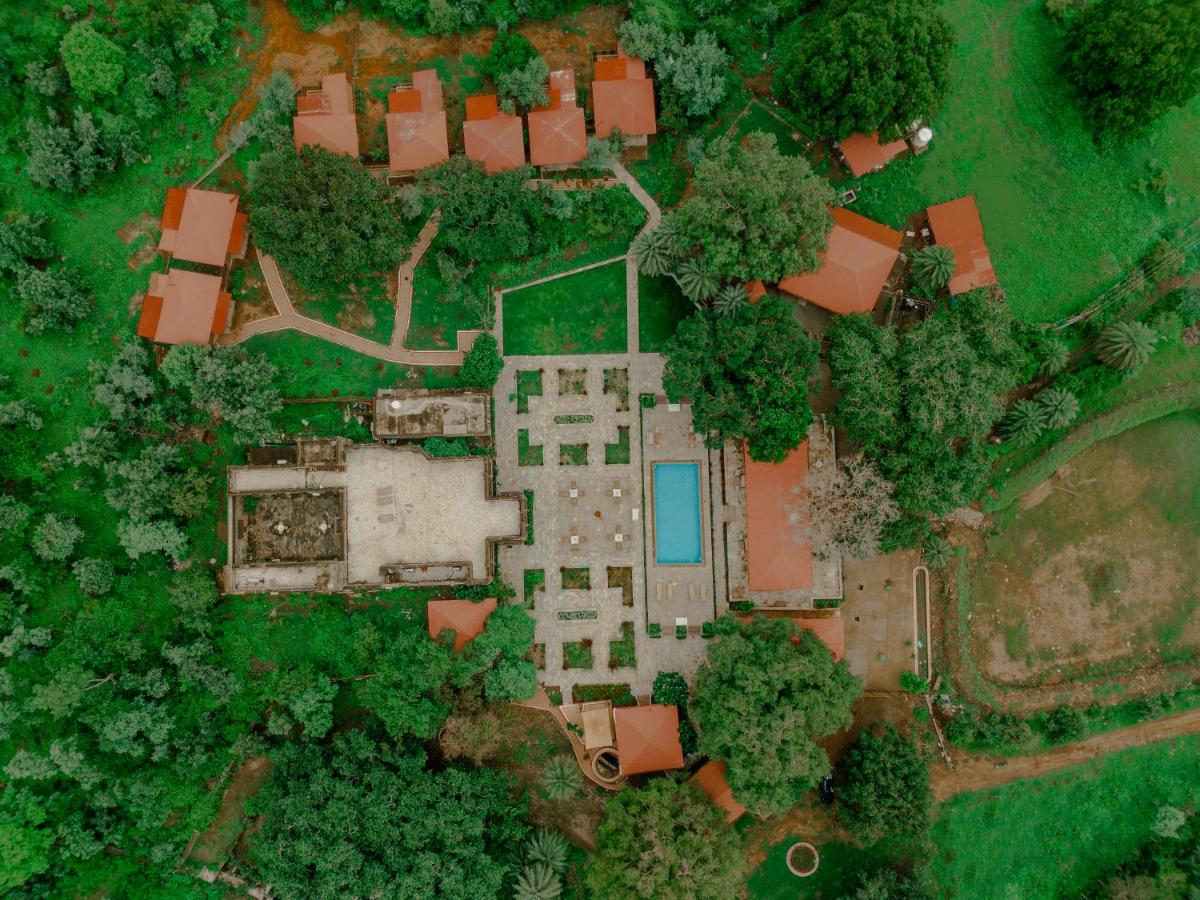 Aloof Jungle Lodge - B&B