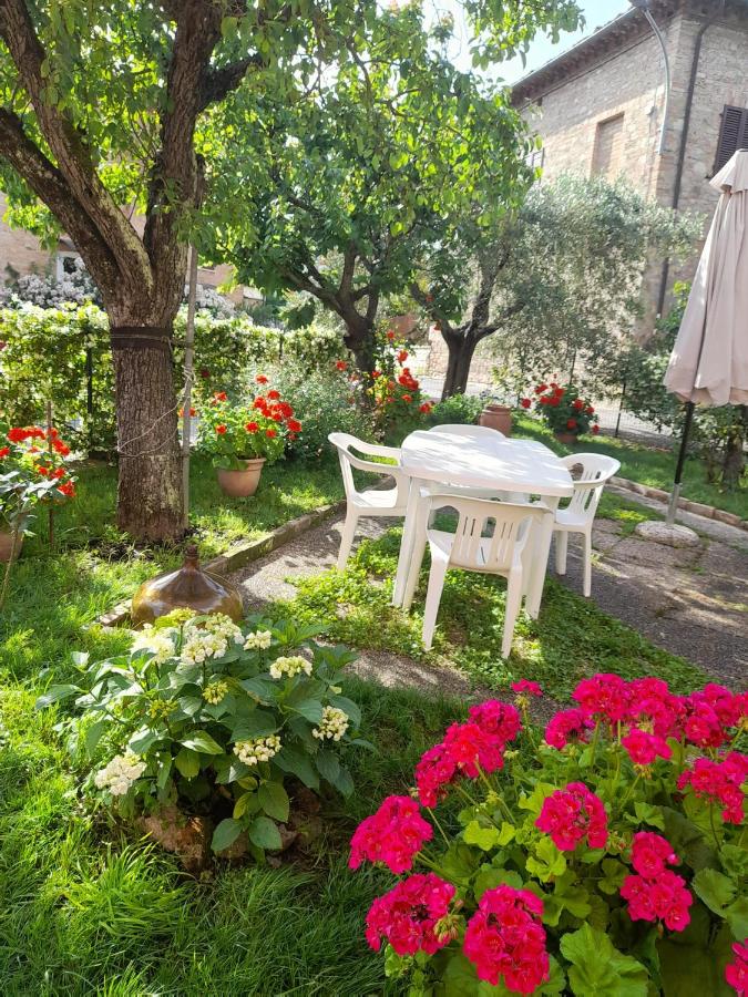 Casa vacanze - Serena - B&B Chiusi